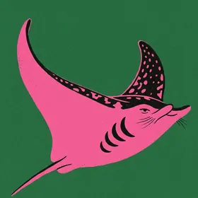 Manta ray in profile
