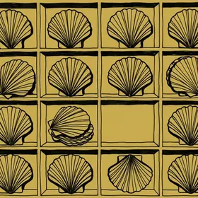 Scallop shells in a cabinet